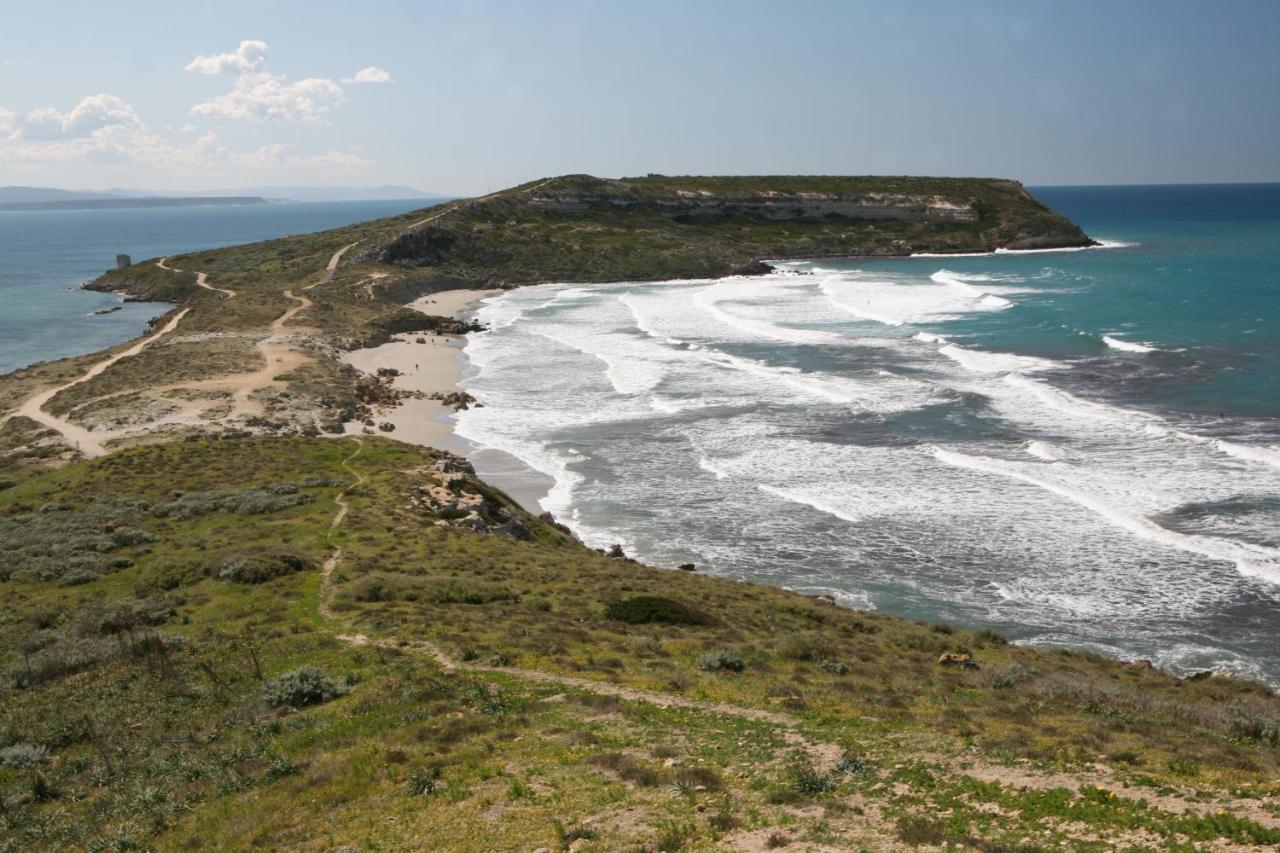 Angolo Verde Bed & Breakfast Oristano Dış mekan fotoğraf