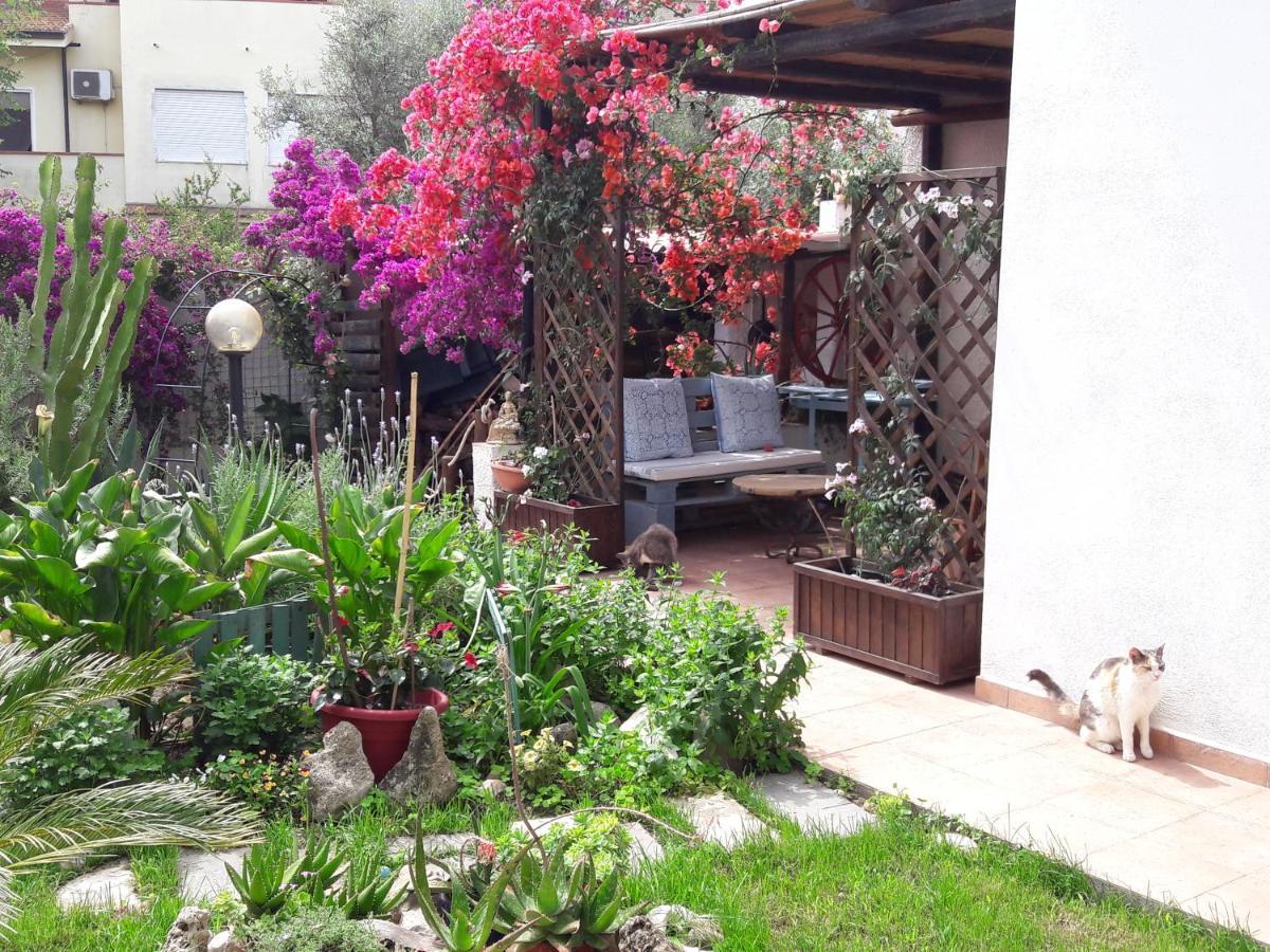 Angolo Verde Bed & Breakfast Oristano Dış mekan fotoğraf