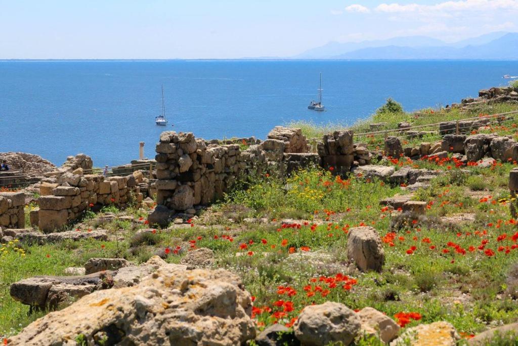 Angolo Verde Bed & Breakfast Oristano Dış mekan fotoğraf